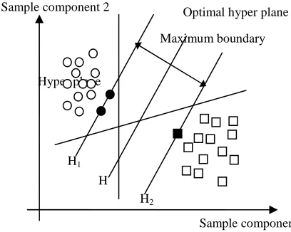 Figure 1. Optimal classification face. 