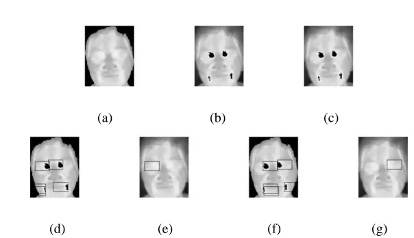 Fig. 1. Inner-Canthus Localization Process; (a) Segmented face, (b)Inner-canthus can-didate based on high temperature, (c) Inner-canthus candidate based on blob area, (d) Left-eye candidate, (e) Left-eye detected, (f) Right-eye candidate, (g) Right-eye detected 