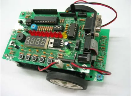 Figure 2.  Java Micro Robot 