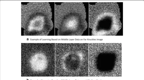 Fig. 7 Example of hidden label Gaussian process learning on middle-layer image data for knuckles