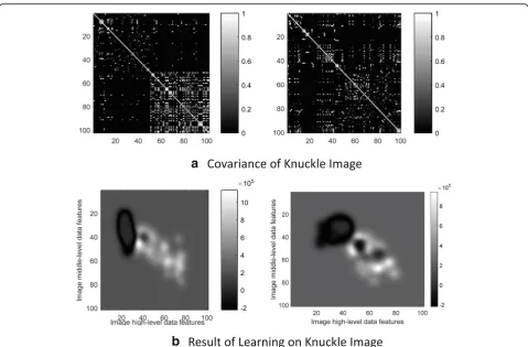 Fig. 8 Synthesis learning of multilayer data from knuckle image. a Covariance of knuckle image