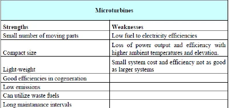 Figure 2.3: Microturbine 