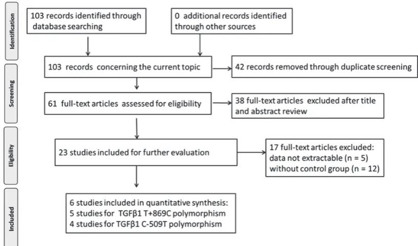Fig. 1. Literature search and study selection procedures