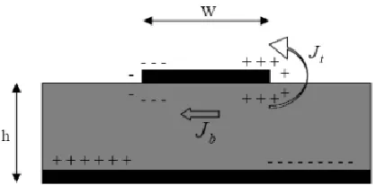 Figure 2.9: Charge distributions along the Microstrip patch