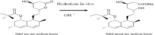 Fig.1: Hydrolysis of SIM In vivo 