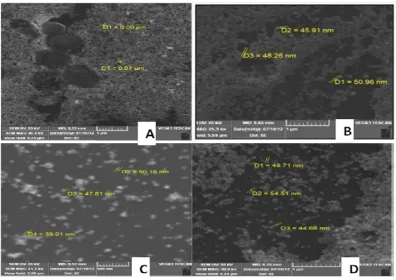 Fig. 3 XRD patterns of synthesized nanosilver using  A.dubius (A), A. polygonoides (B), A