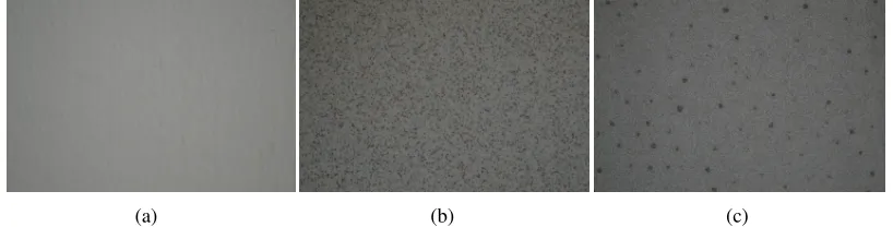 Table 1. Absorption Coefficient Of Materials 