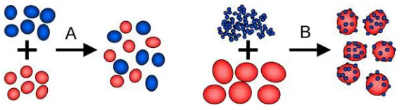 Figure 1.1: Types of mixture in mixing states: (A) Random mixture; (B) Interactive 