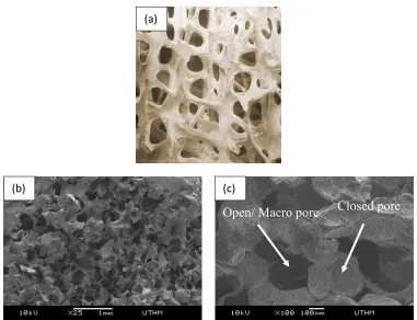 Figure 4. Microstructure of (a) natural bone [8] (b) 60 wt% SS316L foam and (c) open and closed pores of 60 wt% SS316L foam at higher magnification 