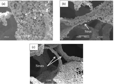 Figure 5. Microstructure of the struts for (a) 40 wt% SS316L foam, (b) 50 wt% SS316L foam, and (c) 60 wt% SS316L foam 