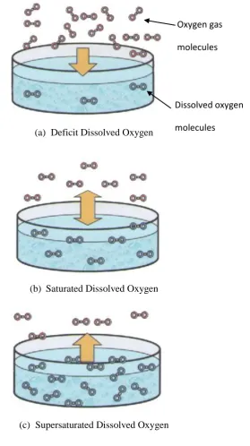 Figure 2.2: Oxygen behaviour transfer into water 