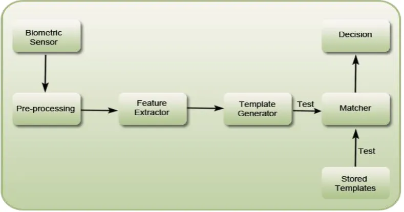 Figure 1.1: Biometrics Security Process (Zhu et al., 2002) 