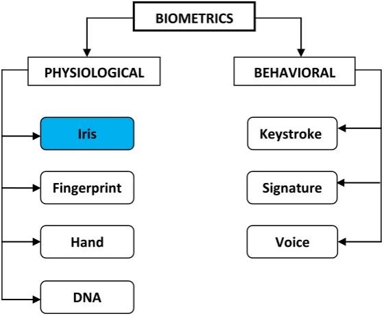 Figure 2.1: Biometrics Classification 