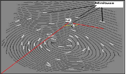 Figure 2.2: Fingerprint Elaboration (Raghavan, 2012) 