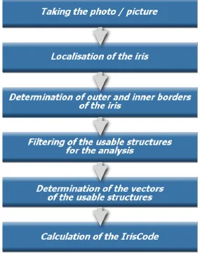 Figure 2.5: The Iris Identification System 