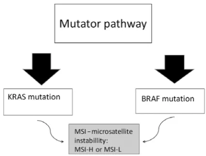 Fig. 3. Mutator pathway