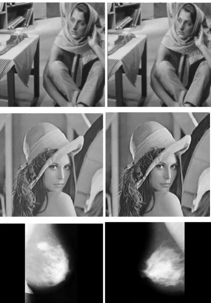 Figure 4: Test images with different format. From left to right, top to bottom: Barbara.bmp, barbara.png, lena.bmp, 