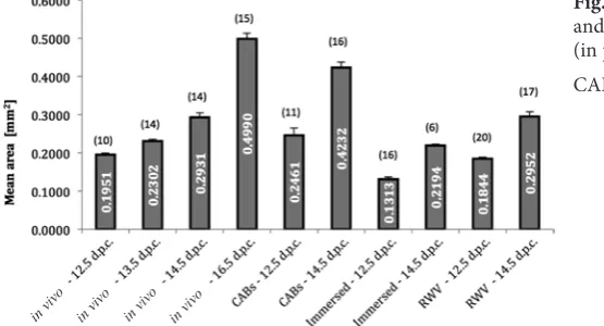 Fig. 2. Testis size (mean area ± S.E.M.) in vivo and under different 2-day in vitro conditions  