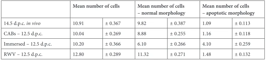 Table 1. Mean number + SEM of prospermatogonia in testis sections