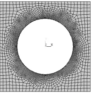 Figure 4，meshing plan of the proposed model (µ =0.3,h=1) 