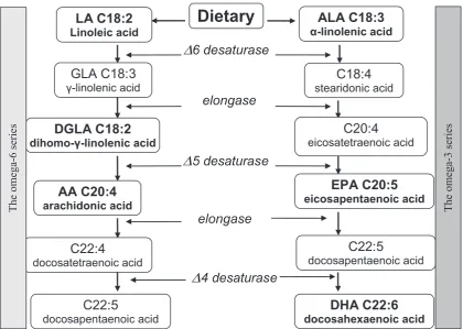 Fig. 1. Glycerol – stereospecific numbering