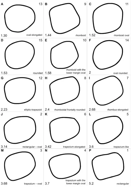 Fig. 2. Arrangement of the orbit inlet classifications: nominal and after the functional Left top corner – alphanumeric classification; left bottom corner – value of functional; right top corner – nominal classification number; right bottom corner – name in nominal classification