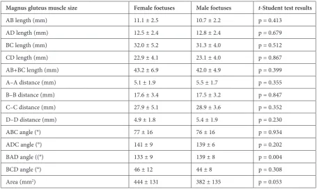 Fig. 4. AD lengths comparison in female (F) and male (M) foetuses and t-Student test result for unrelated variables