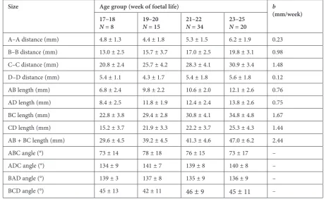 Fig. 5. Correlation diagram of AB and BC sec-tions total length and foetal age