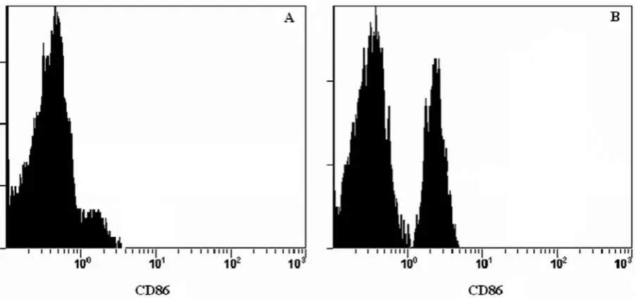 Fig. 3. IL-8 cytokine levels in dendritic cells (Asterisks indicate significant differences from samples contain-ing only DCs, p < 0.05)