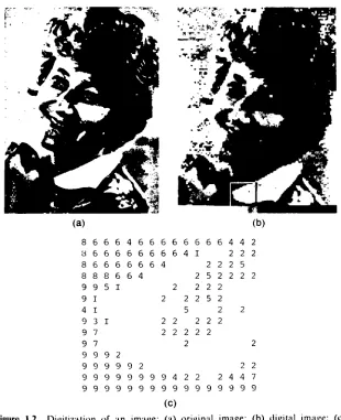 Figure image: (b) digital image: digitized 1.2 Digitization of an (a) original image:gray shades for the square region indicated in (b).(c)