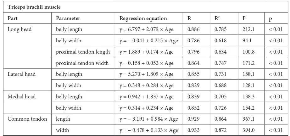 Table 2. Statistics of the triceps brachii muscle 