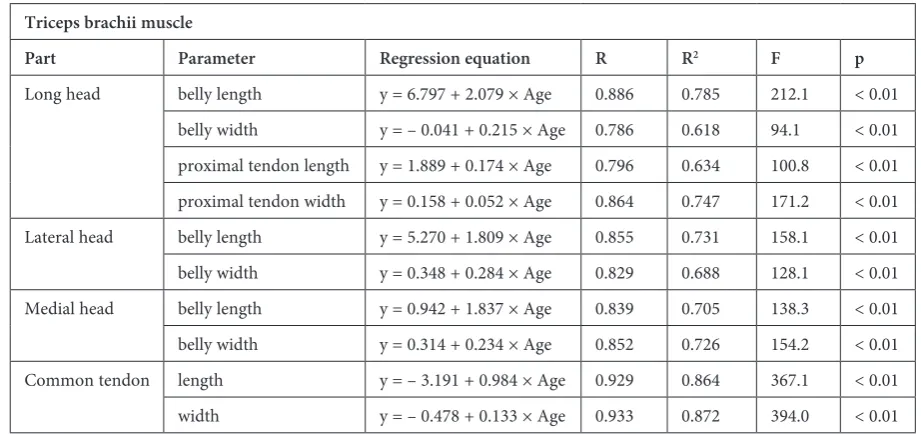 Table 2. Statistics of the triceps brachii muscle 