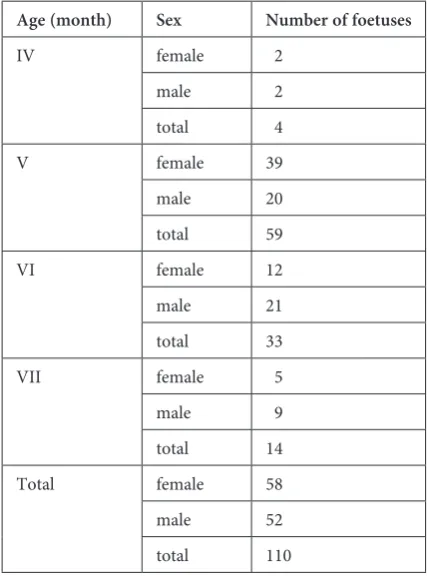 Table 1. Quantitative division of foetuses in respect of sex