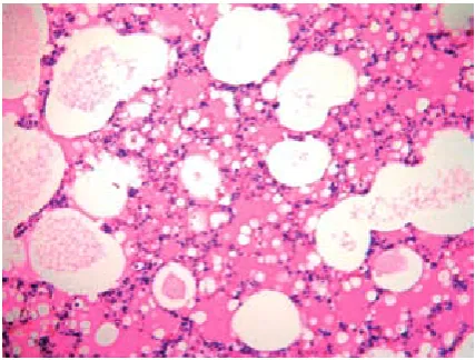 Fig. 1A. Normal histological appearance of olive oil-treated rat lungs (H&E ×10)