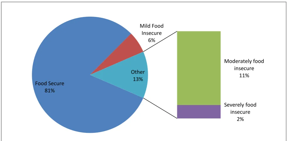 Figure 1. Household food security status  