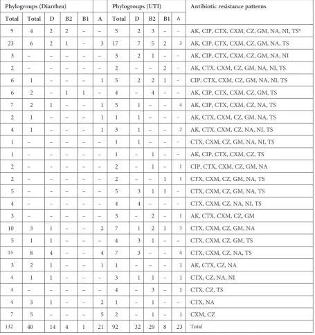 Table 4. Antibiotic resistance patterns in relation to phylogenetic groups