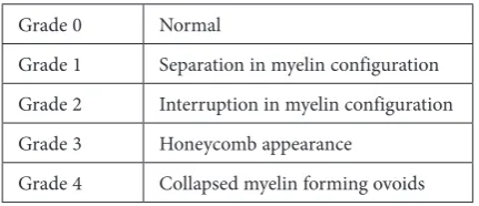 Table 1 Ultrastructural grading system of myelinated axons