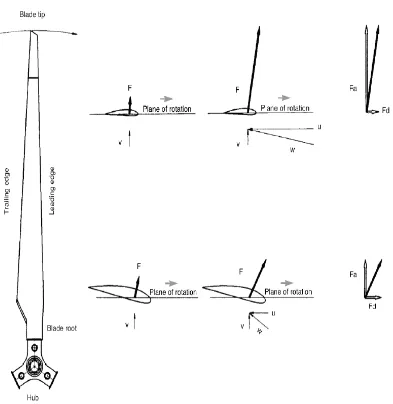 Figure 2.8 HAWT blade root and tip airfoil sections 