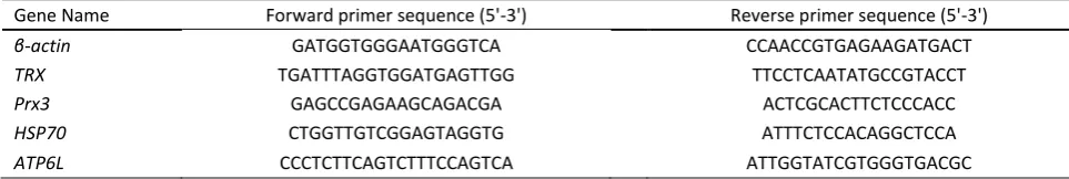 Table 1. Real-time quantitative PCR primers used in this study 