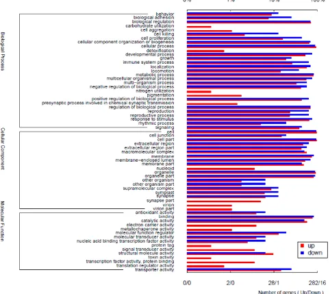 Figure 5. Up- and down-regulated unigenes of the top terms in comparisons between each Cd-treated group and the control