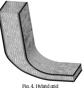 Fig. 4. Hybrid grid 
