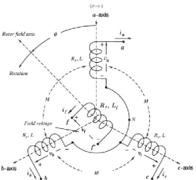 Figure 2.5: Structure of an idealized three-phase round-rotor SG modified  