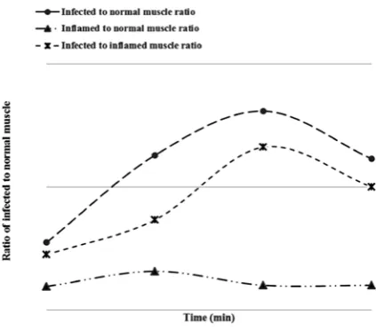 Fig. 6. Ratio wise distribution of the 99mTc-TMC com-plex in MWR model 