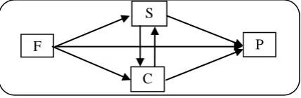 Figure 1.F-SCP analytical paradigm C 
