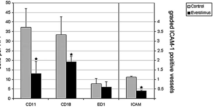 Fig. 1. Evaluation of lymphocytic cells (cd11a, cd18), macrophages (Ed1) and activated vessels (IcaM-1) during severe acute rejection (POd 30)