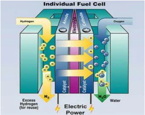 Figure 2.3: Schematic diagram of a fuel cell [13] 
