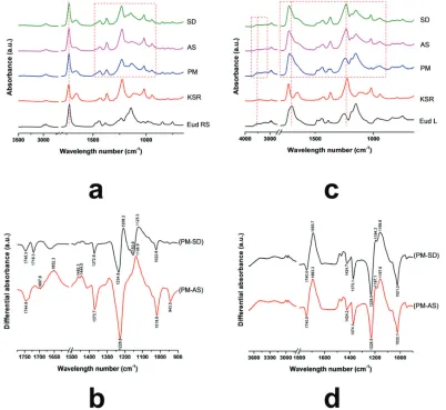 Figure 1. (a) FTIR Spectra of Eudragit RS (Eud RS)-Kollidon SR (KSR) inter-polymer complexes (IPCs); (b) differential spectra PM and Eud RS-KSR IPC; (c) Eud L-KSR IPC; and (d) differential spectra of PM and Eud L-KSR IPC