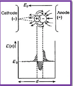 Figure 2.13 : Distortion of electric field by space charge [11] 