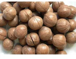 Fig. 1. Carya cathayensis   