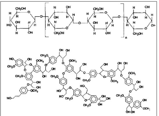 Table 2.3: The properties of pineapple leaf fibre and polypropylene (R.M.N